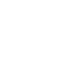 Dulmi